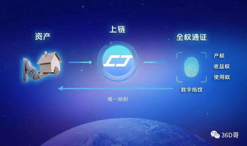 token是啥意思